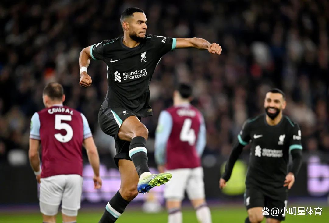 利物浦中场费尔南多-迪亚斯成功手术的简单介绍