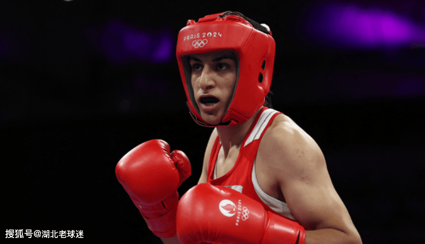 开云体育-意大利选手在拳击比赛中获胜