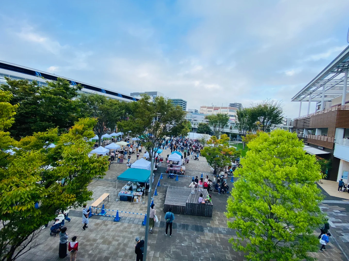 开云体育官方网站-关于日本奥运延期：疫情未得控制，运动员备战心情波澜不惊的信息