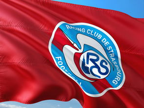 开云官网-帕尔梅拉斯锋线火力全开，防守压力山大