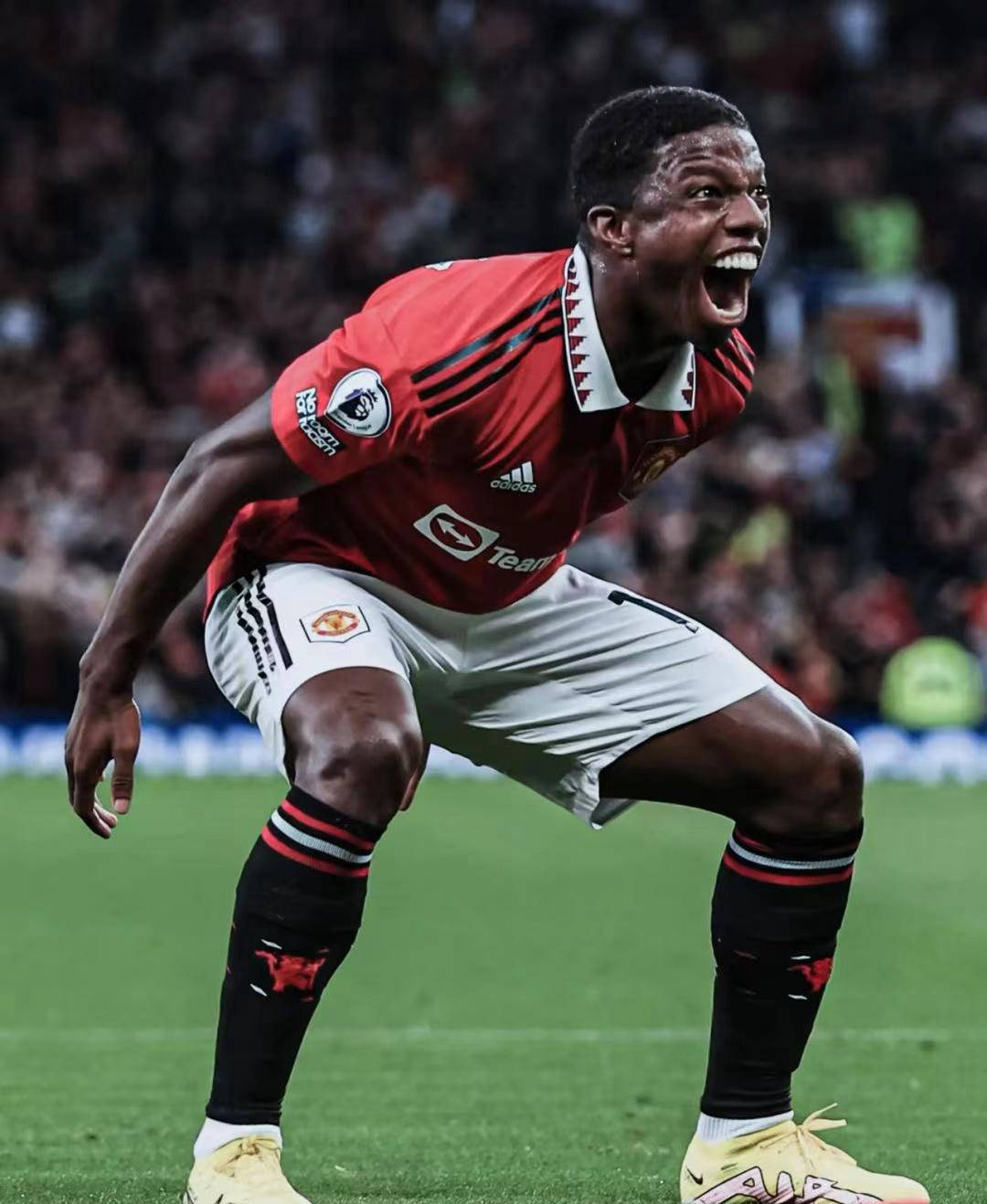 埃因霍温积极备战，迎来重要一役！的简单介绍