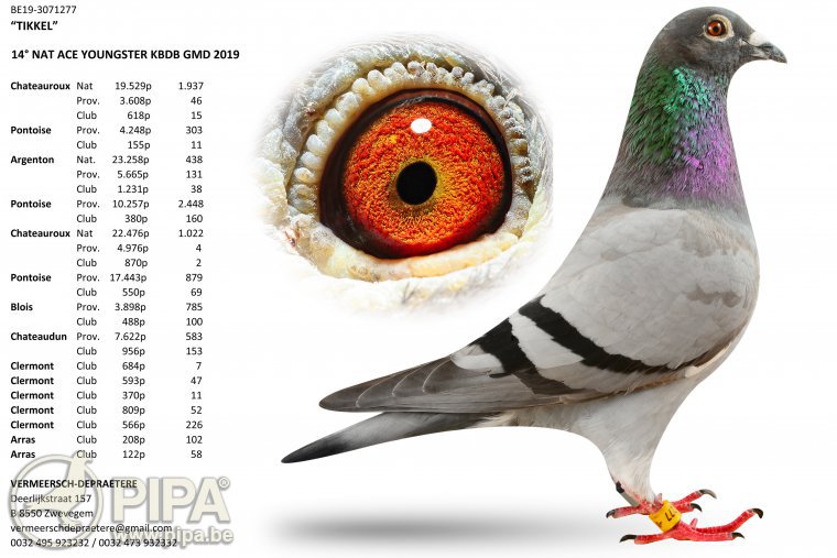 开云体育登录-比利时选手逆袭首问男子重量级冠军的简单介绍