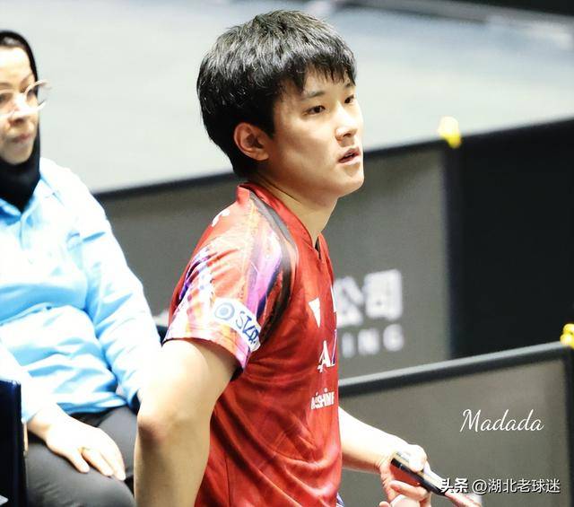 波兰队逆转法国队,张本智和高光表现 波兰队逆转法国队,张本智和高光表现